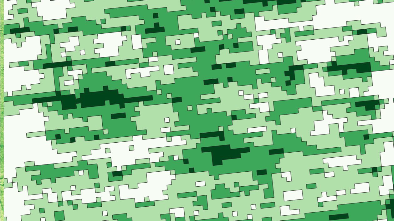 NDVI raster illustrating areas of reduced vegetation index values indicating crop stress.